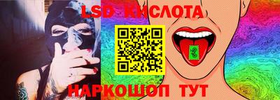 ПСИЛОЦИБИНОВЫЕ ГРИБЫ Гусев