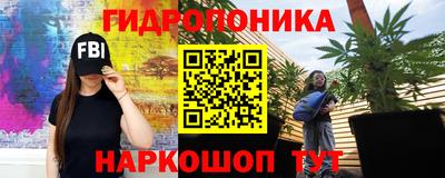 трава Гусь-Хрустальный
