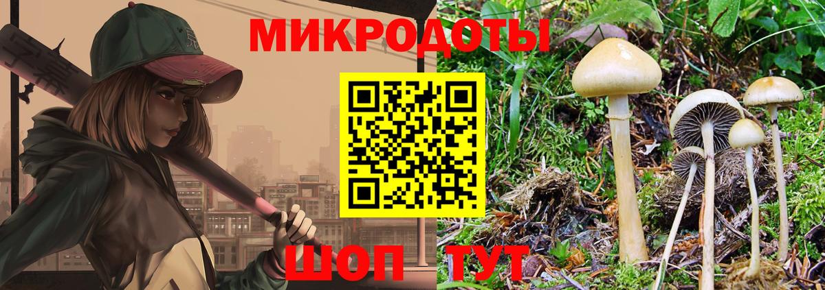 Галлюциногенные грибы мухоморы Муравленко