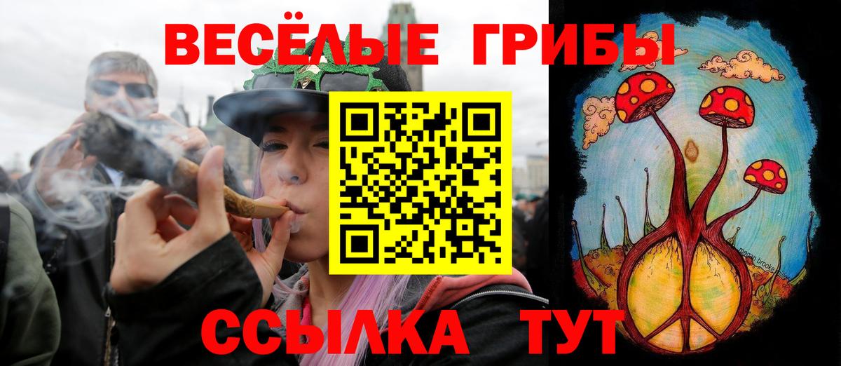 Псилоцибиновые грибы Psilocybe  Галлюциногенные грибы Psilocybine cubensis  закладки  Муравленко  Вход с VPN 